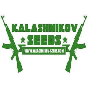 kalashnikov-seeds