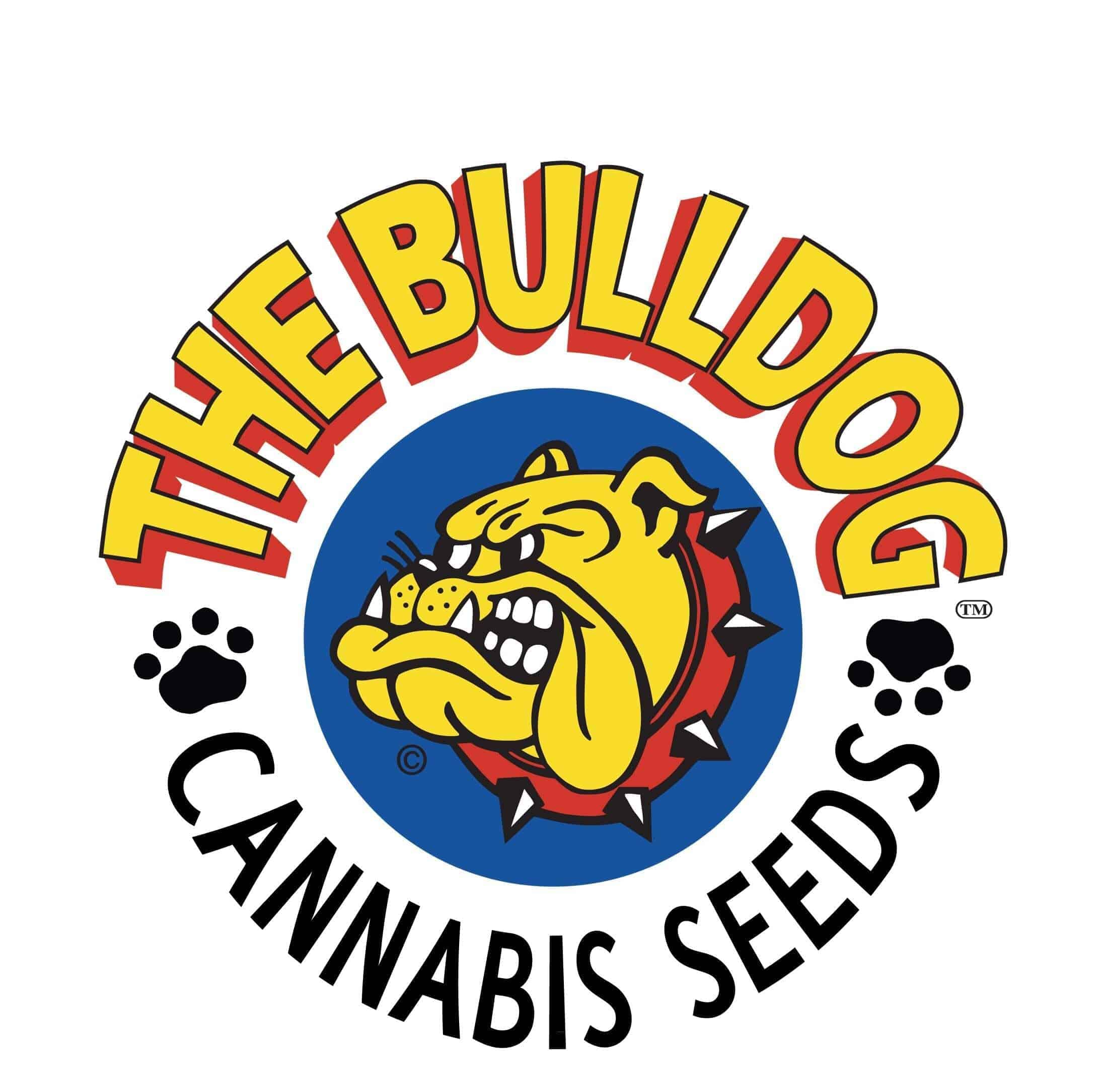 the-bulldog-seeds