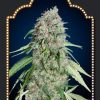 cbd