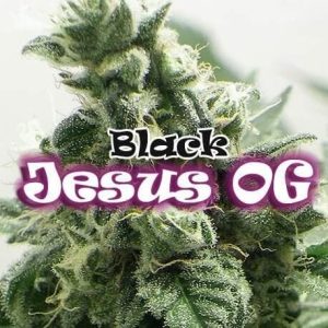 69 thickbox default black jesus og1