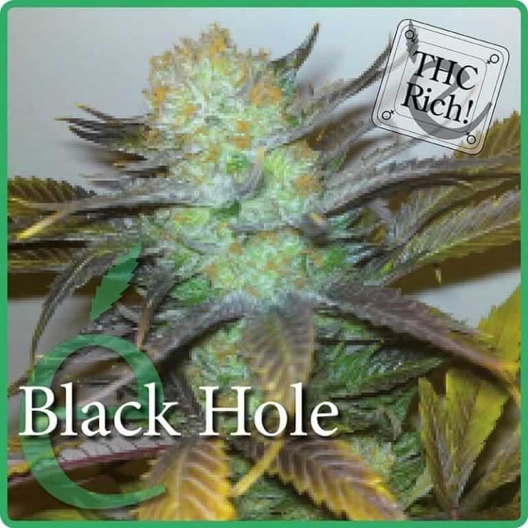 black hole1