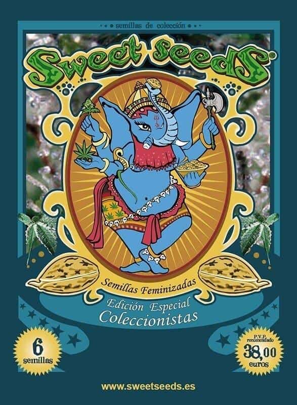 edicion especial coleccionista 11