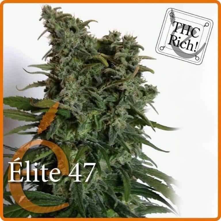 elite 471