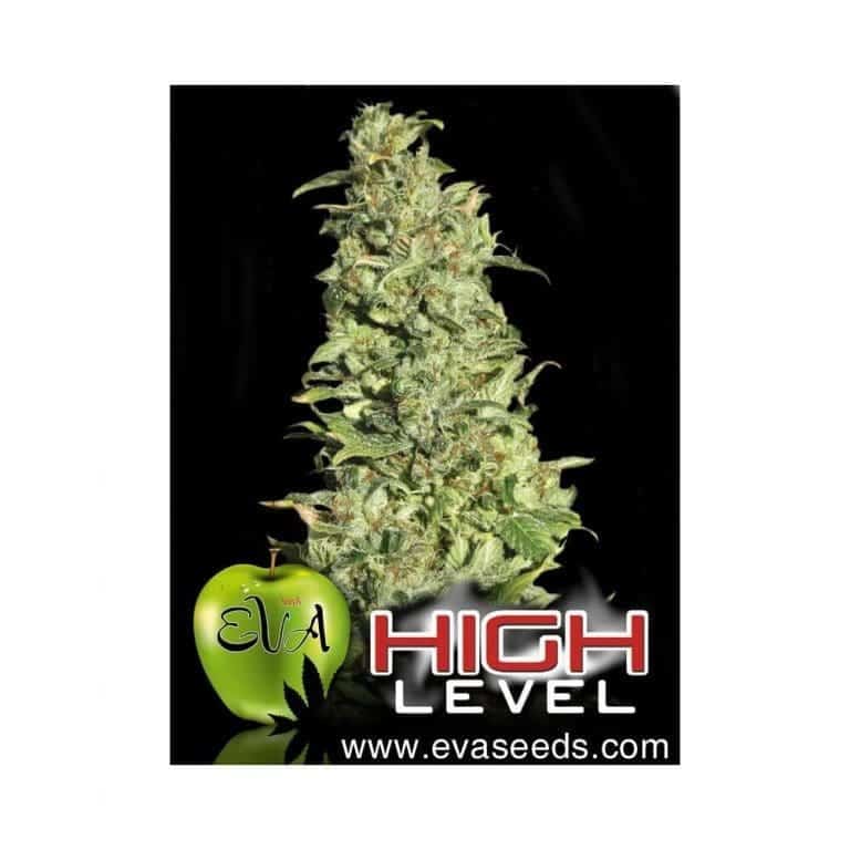 high level1