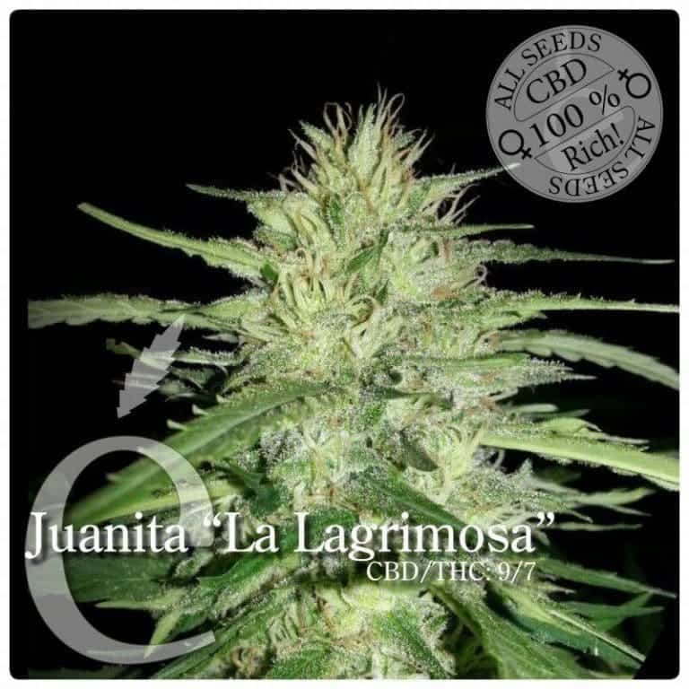 juanita la lagrimosa fr1