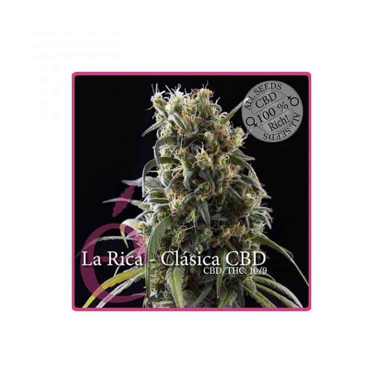 la rica clasica cbd1