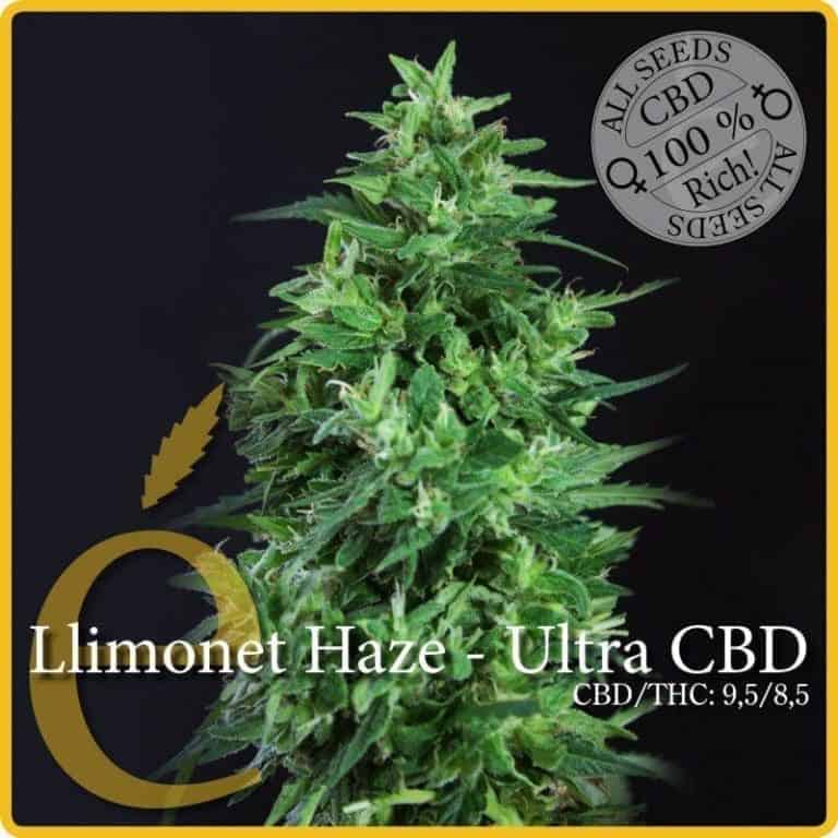 llimonet haze ultra cbd1
