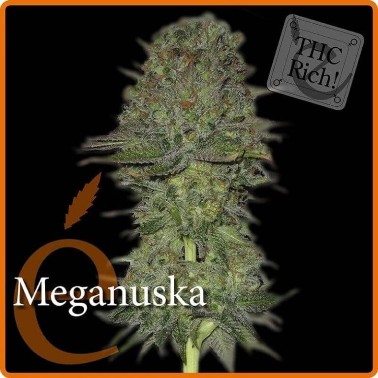 meganuska1