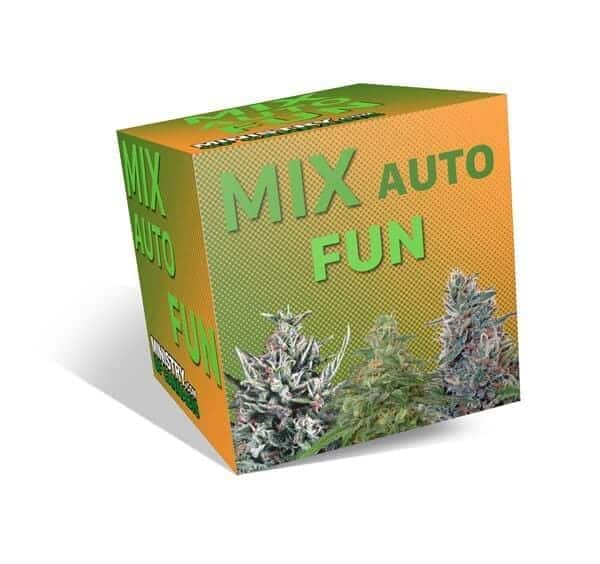 autoflowering mix ba41