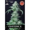 Pure Seeds custom x nasiona marihuany1