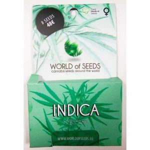 indica collection1