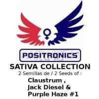 sativa collection positronics1
