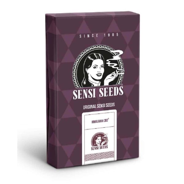 Himalayan CBD (Sensi #49)