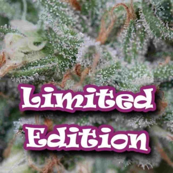 edicion limitada drunderground Easy Resize.com