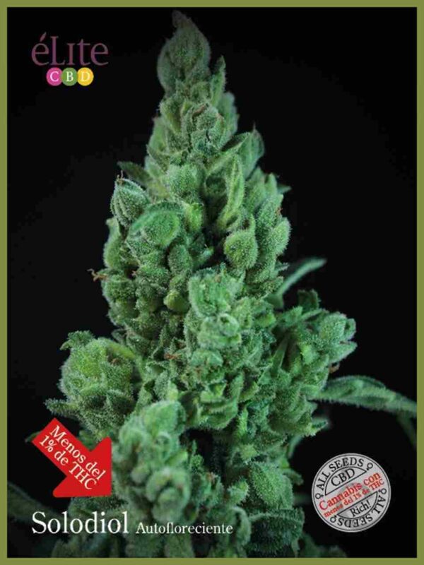 solodiol auto cbd Easy Resize.com