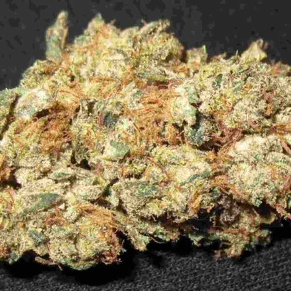 tangerine headband Easy Resize.com