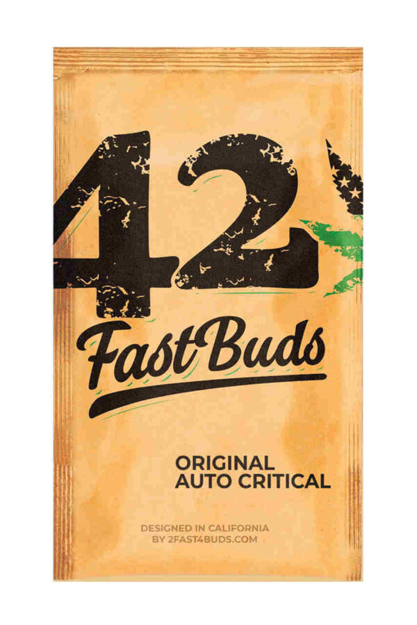 Original Auto Critical Easy Resize.com