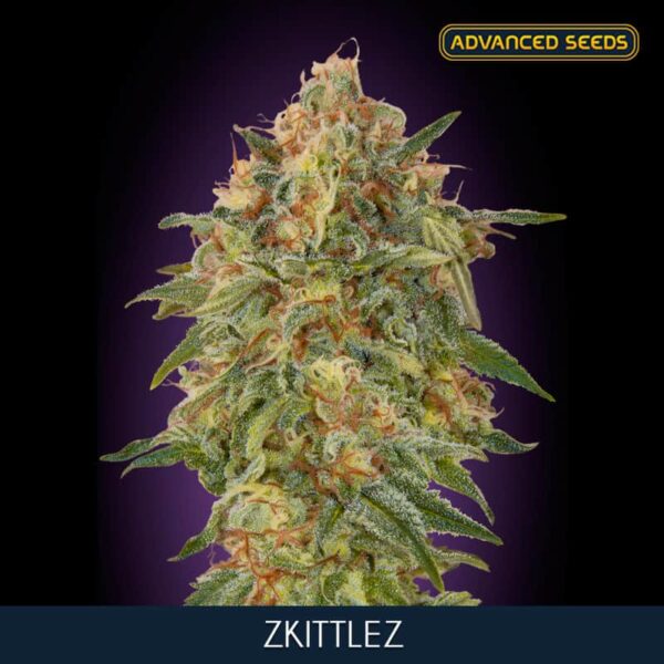 zkittlez min
