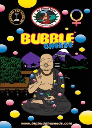 Big Buddha Seeds Bubble Cheese