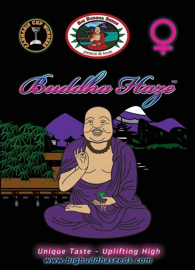 Big Buddha Seeds Buddha Haze