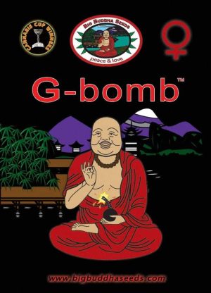 Big Buddha Seeds G Bomb