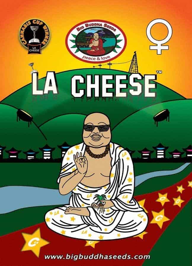 Big Buddha Seeds LA Cheese