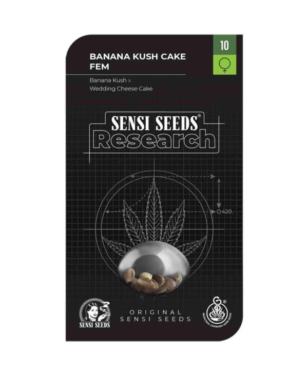 Banana Kush Cake - Sensi Seeds