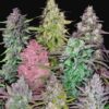 Mixed Pack Auto