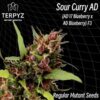 Sour Curry AD Regular