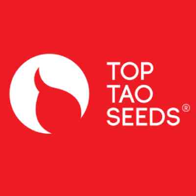 top-tao-seeds