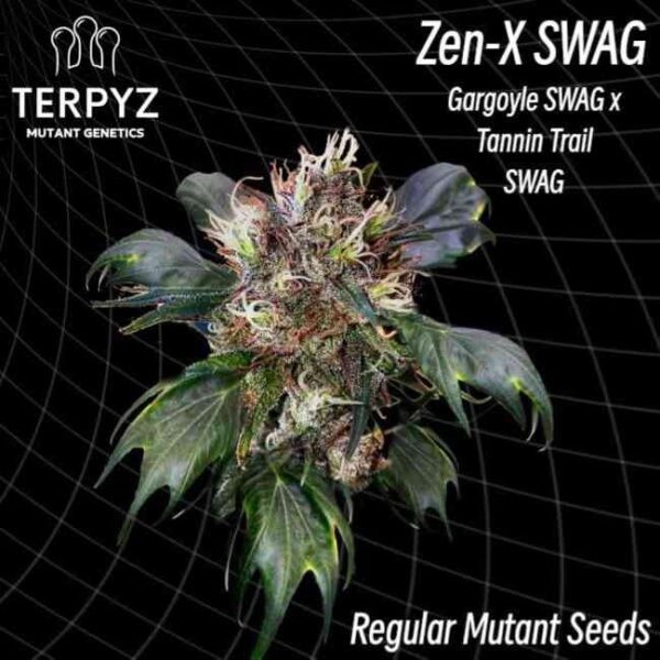 Zen-X Swag Regular