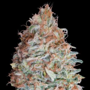 Banana Cookies