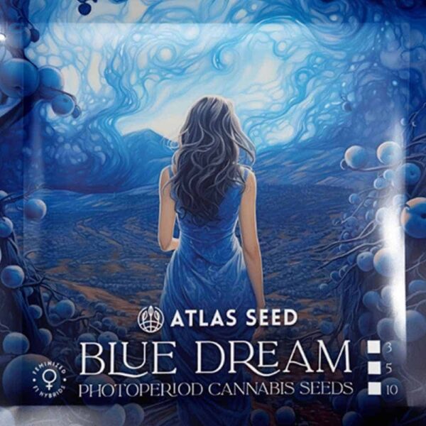 Blue Dream Atlas Seed