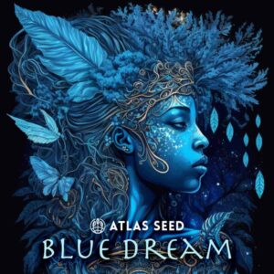 Blue Dream Fast Atlas Seed