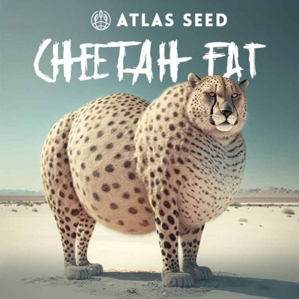 Cheetah Fat Fast