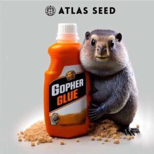 Gopher Glue Fast