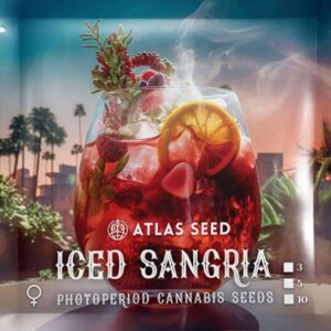 Iced Sangria