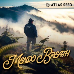 Mendo Breath