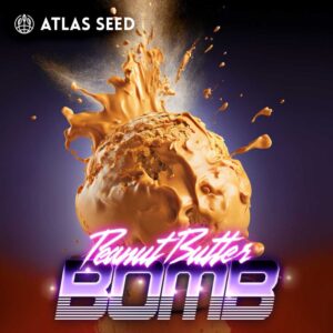 Peanut Butter Bomb FAST