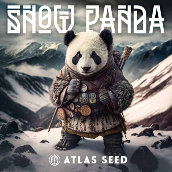 Snow Panda FAST