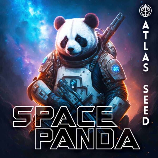 Space Panda