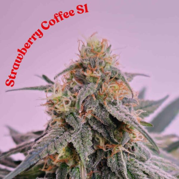 Strawberry Coffee
