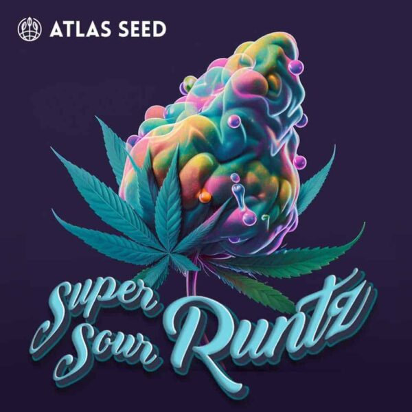 Super Sour Runtz