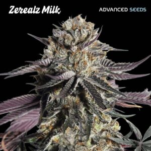 Zereal Milk