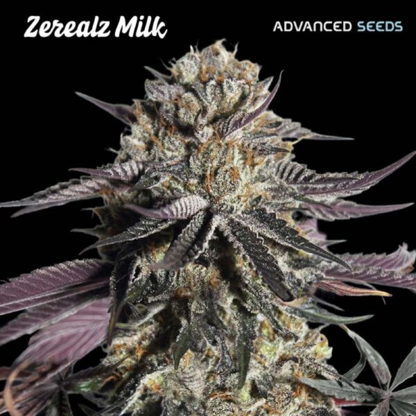 Zereal Milk