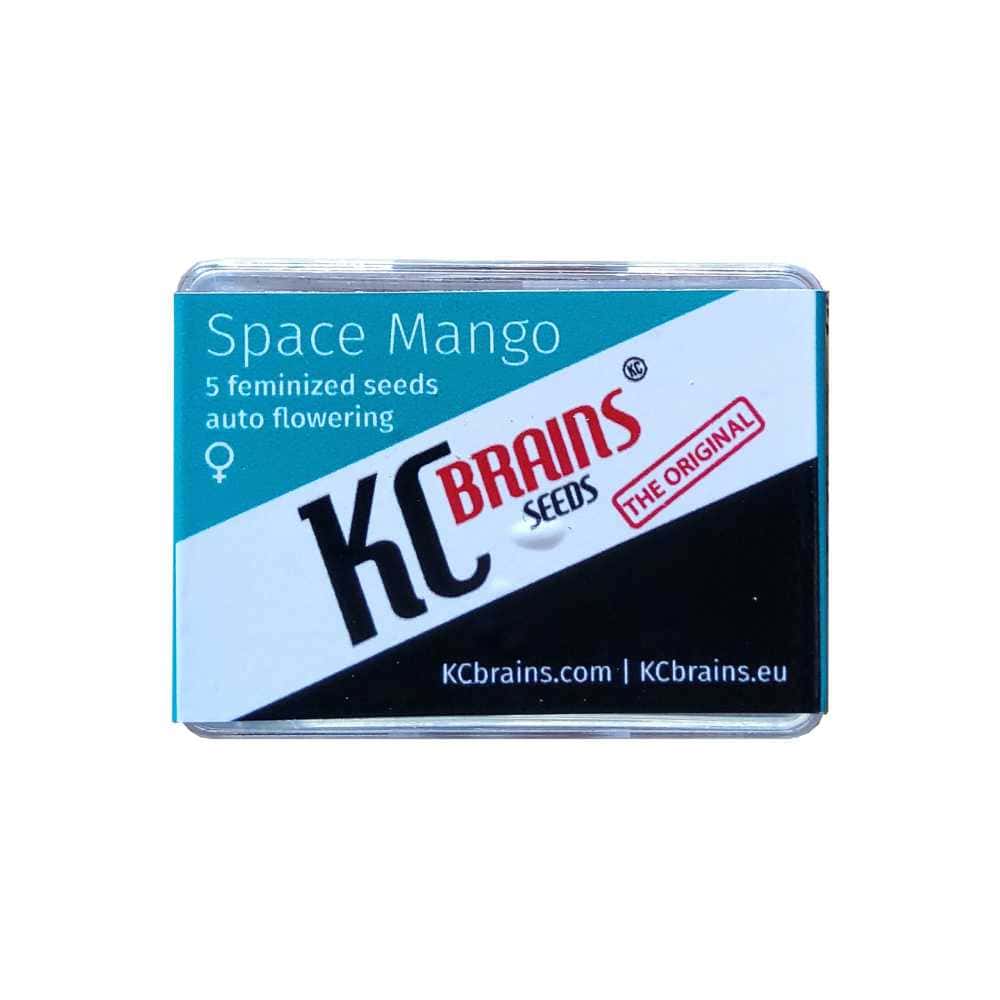 Space Mango Auto