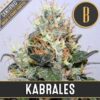 Kabrales