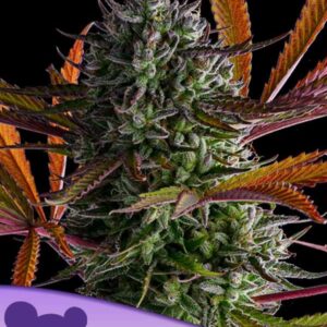 Strawberry Pop Rocks