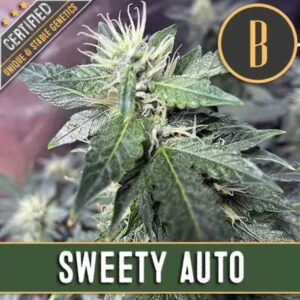 Sweety Auto