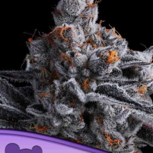 High Mars